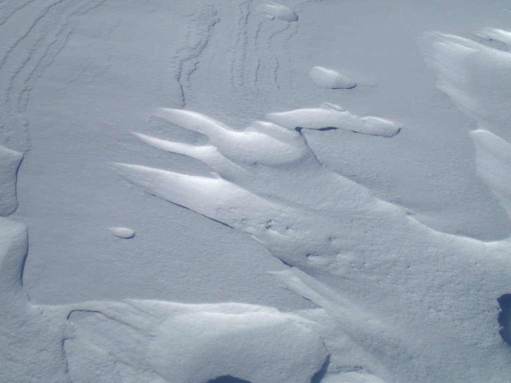 Rooster snow drift