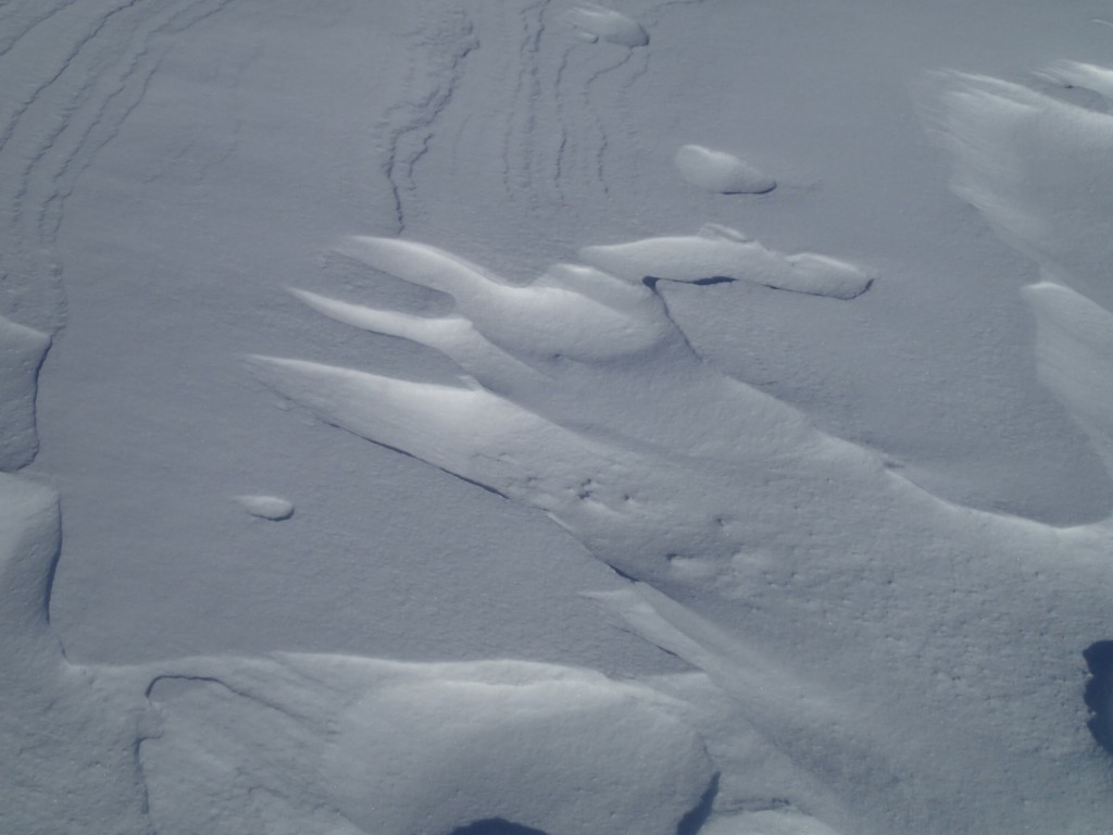 A rooster snowdrift