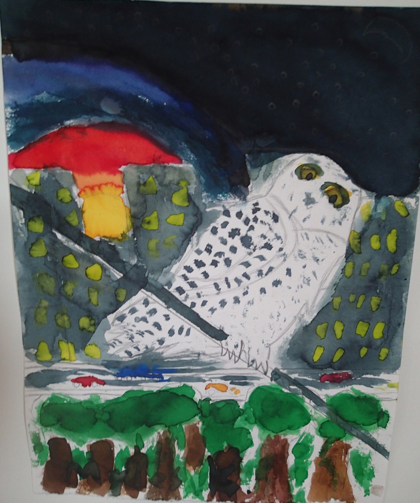 Snowy Owl by  Matthew Mehr