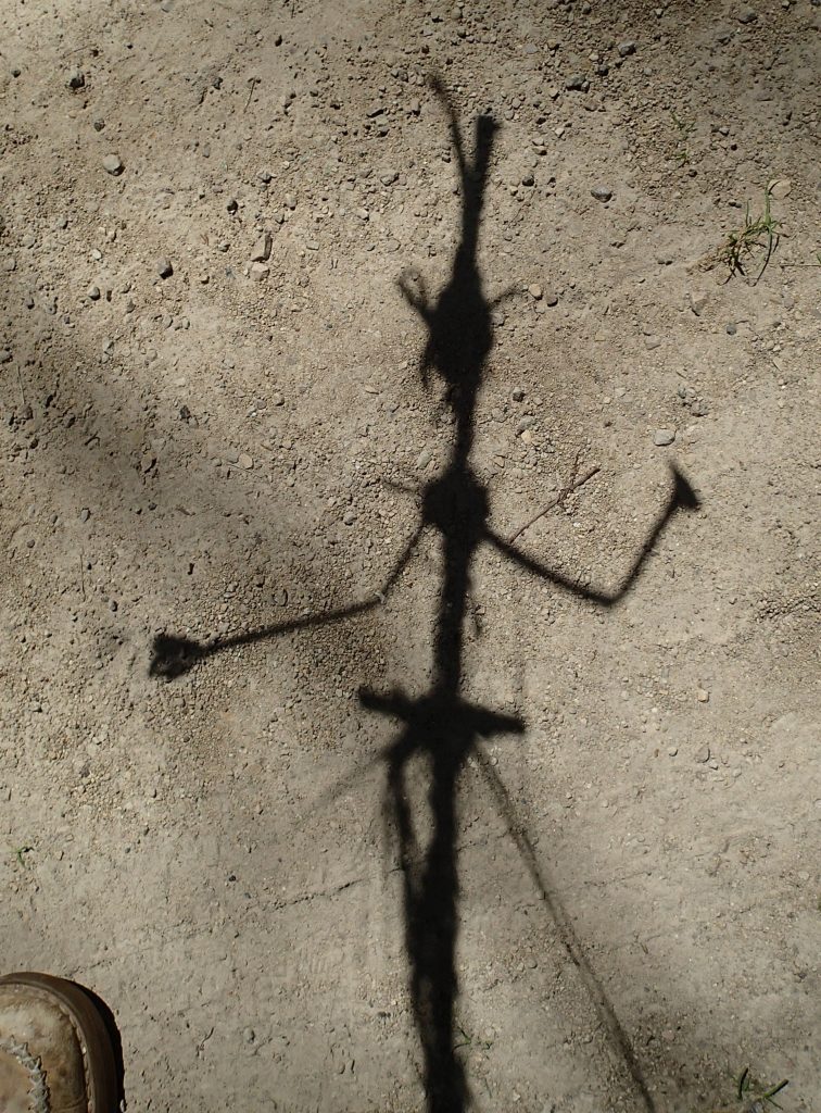 Shadow Puppet, Felice Amato