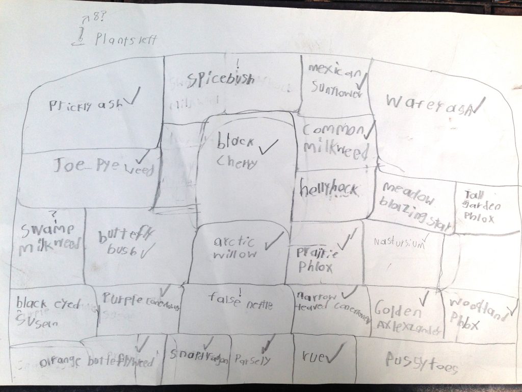 Felix's original butterfly garden plan
